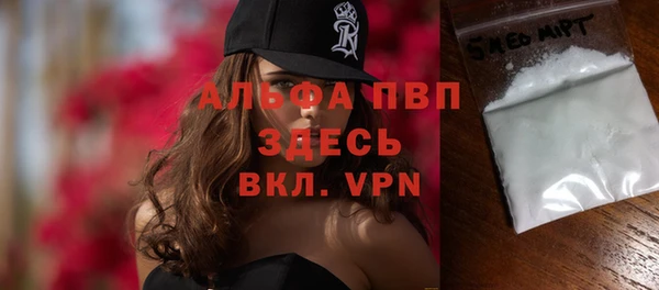 мяу мяу мука Инсар