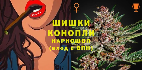 мяу мяу мука Инсар