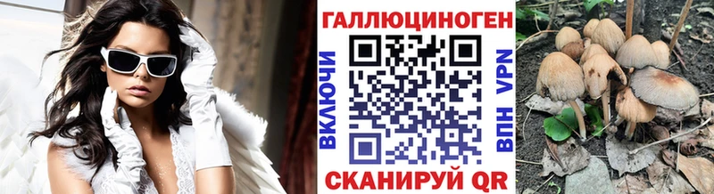 Купить где  Жердевка  Псилоцибиновые грибы Cubensis 